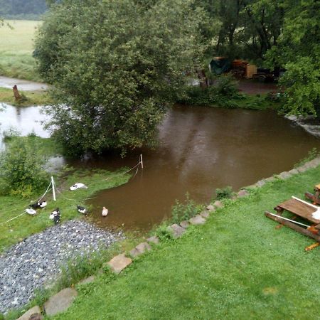 Villa BioFarma Dolejší Mlýn Kamberk Exterior foto