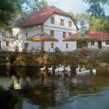 Villa BioFarma Dolejší Mlýn Kamberk Exterior foto