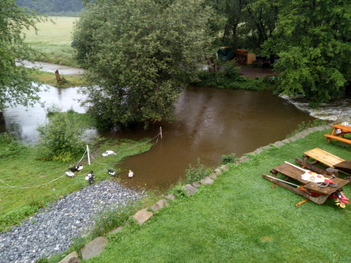 Villa BioFarma Dolejší Mlýn Kamberk Exterior foto