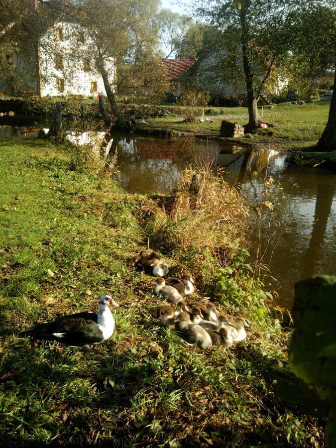Villa BioFarma Dolejší Mlýn Kamberk Exterior foto