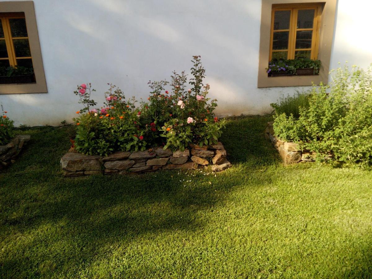 Villa BioFarma Dolejší Mlýn Kamberk Exterior foto