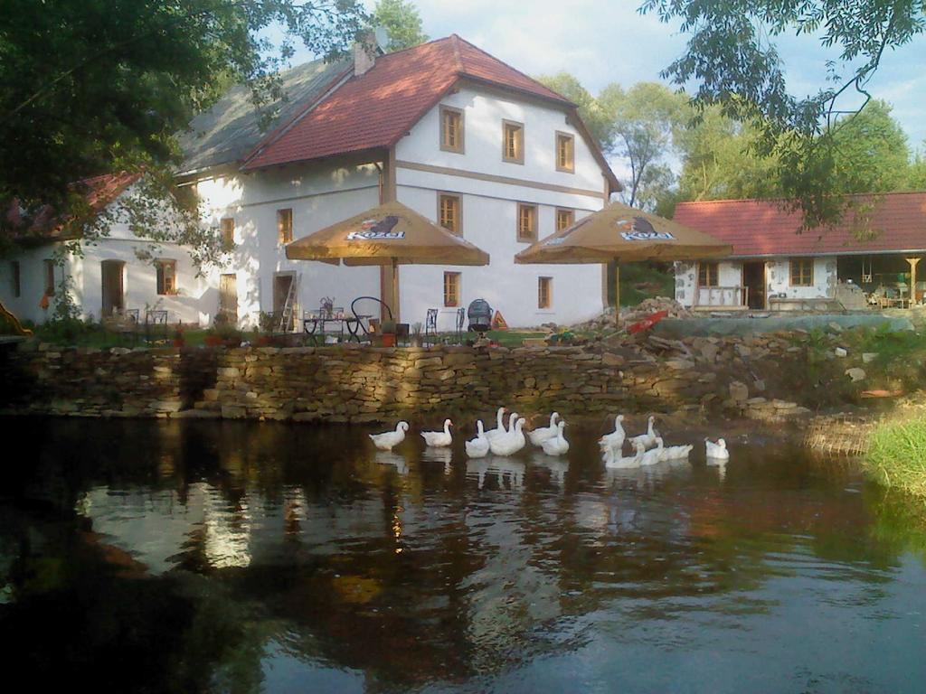 Villa BioFarma Dolejší Mlýn Kamberk Exterior foto