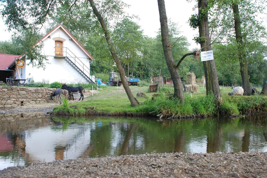 Villa BioFarma Dolejší Mlýn Kamberk Exterior foto