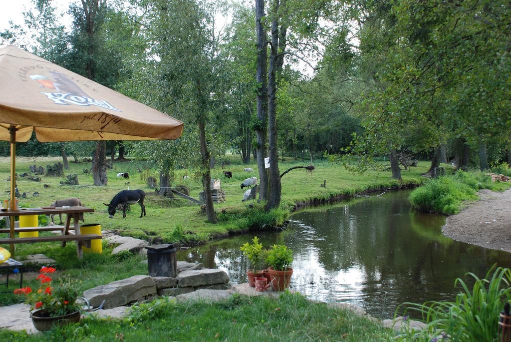 Villa BioFarma Dolejší Mlýn Kamberk Exterior foto