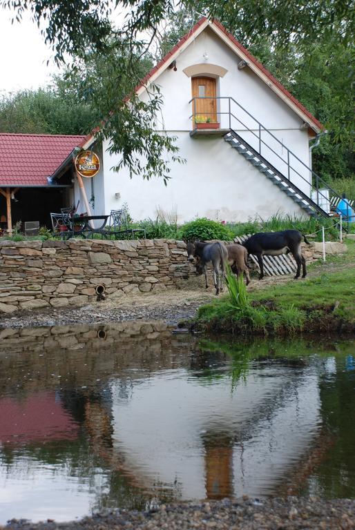 Villa BioFarma Dolejší Mlýn Kamberk Exterior foto