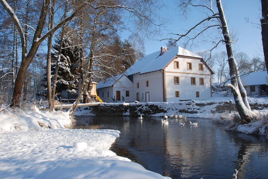 Villa BioFarma Dolejší Mlýn Kamberk Exterior foto