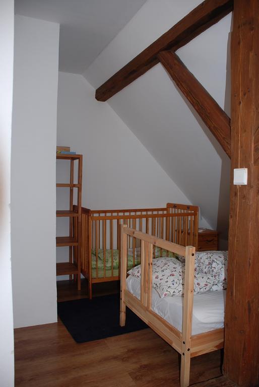 Villa BioFarma Dolejší Mlýn Kamberk Habitación foto