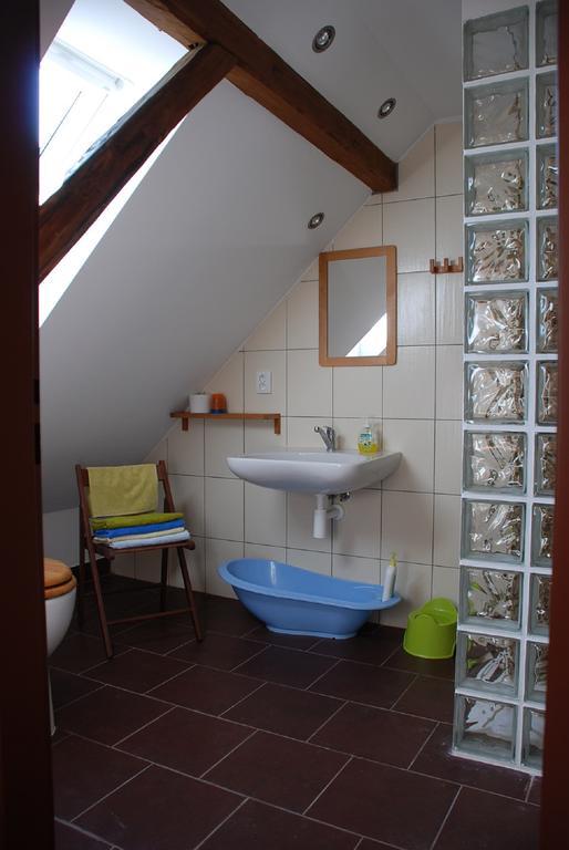 Villa BioFarma Dolejší Mlýn Kamberk Habitación foto