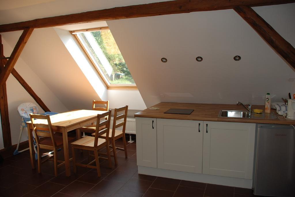 Villa BioFarma Dolejší Mlýn Kamberk Habitación foto