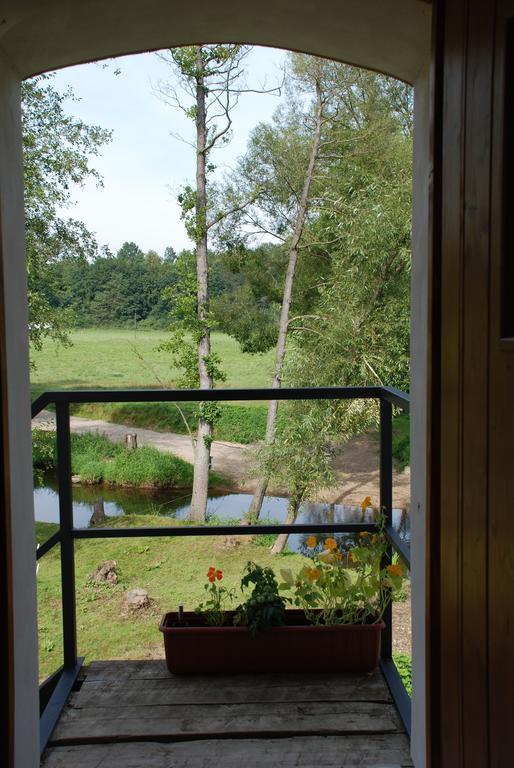 Villa BioFarma Dolejší Mlýn Kamberk Habitación foto