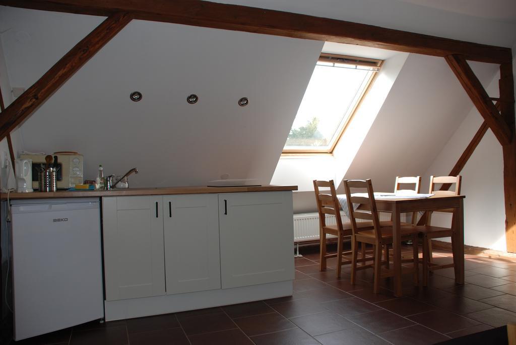 Villa BioFarma Dolejší Mlýn Kamberk Habitación foto