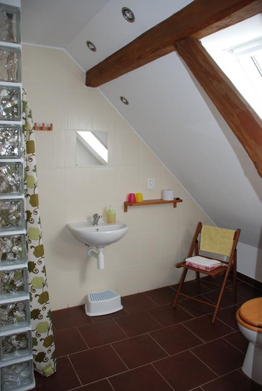 Villa BioFarma Dolejší Mlýn Kamberk Habitación foto